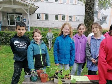 Frühlingserwachen im Schulgarten 4, © GM Grassau / J. Hörfater
