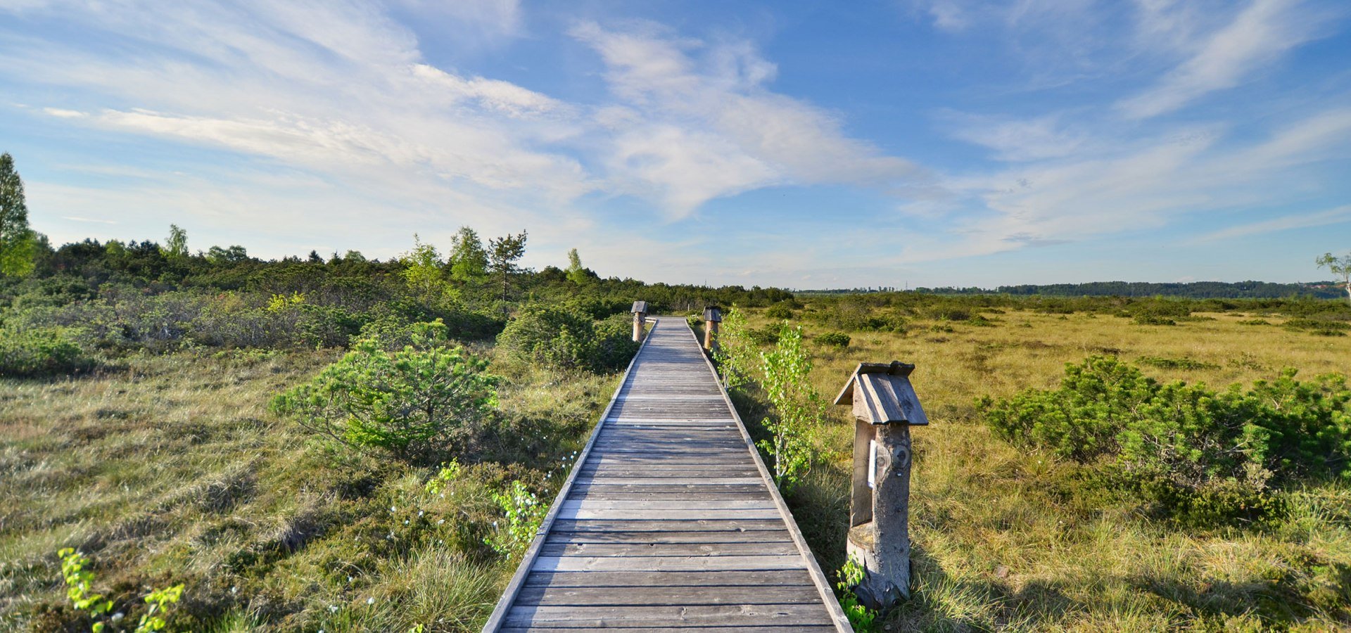 Moorerlebnisweg, © Andreas Hofmann