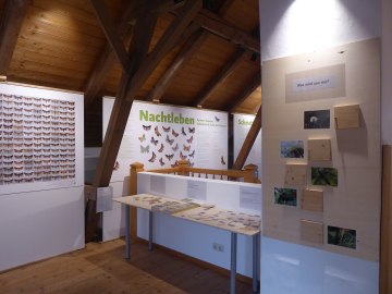 Nachtleben 7, © Museum Salz und Moor