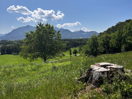 Aussicht vom Westerbuchberg, © Bettina Stommel