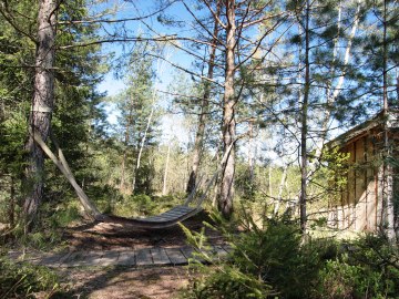 Eine Holzliege am Moorerlebnisweg in den Kendlmühlfilzen lädt zur Rast ein., © Museum Salz und Moor / Stefan Kattari