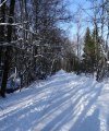 Winterwandern in der Kendlühlfilze, © Christiane Lindlacher