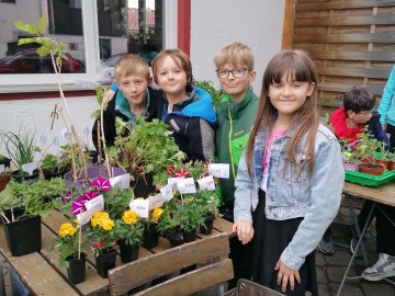 Frühlingserwachen im Schulgarten 3, © GM Grassau / J. Hörfater