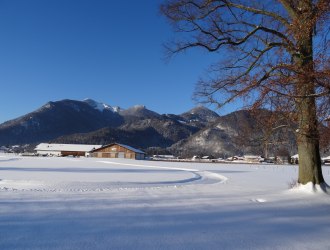 Bergwiesen Loipe Grassau, © Maximilian Felber