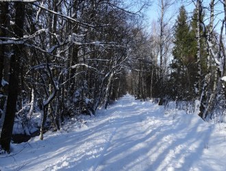 Winterwandern in der Kendlühlfilze, © Christiane Lindlacher