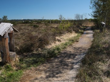 Nicht weit entfernt vom Museum Salz und Moor führt der Moorerlebnisweg mit Stationen für Kinder und Familien ins Naturschutzgebiet Kendlmühlfilzen., © Museum Salz und Moor / Stefan Kattari