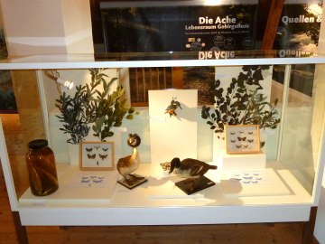 Sonderausstellung 2018 Ache, © Museum Salz und Moor / Stefan Kattari