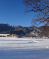 Bergwiesen Loipe Grassau, © Maximilian Felber