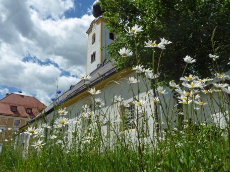Blumenwiese in Grassau, © Kattari Stefan