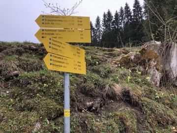 Wanderwegsbeschilderung an der Rachlam, © Tourist-Info Grassau
