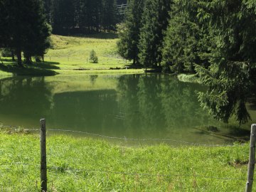 Ache: Quelle am Pass Thurn, © Museum Salz und Moor / Stefan Kattari