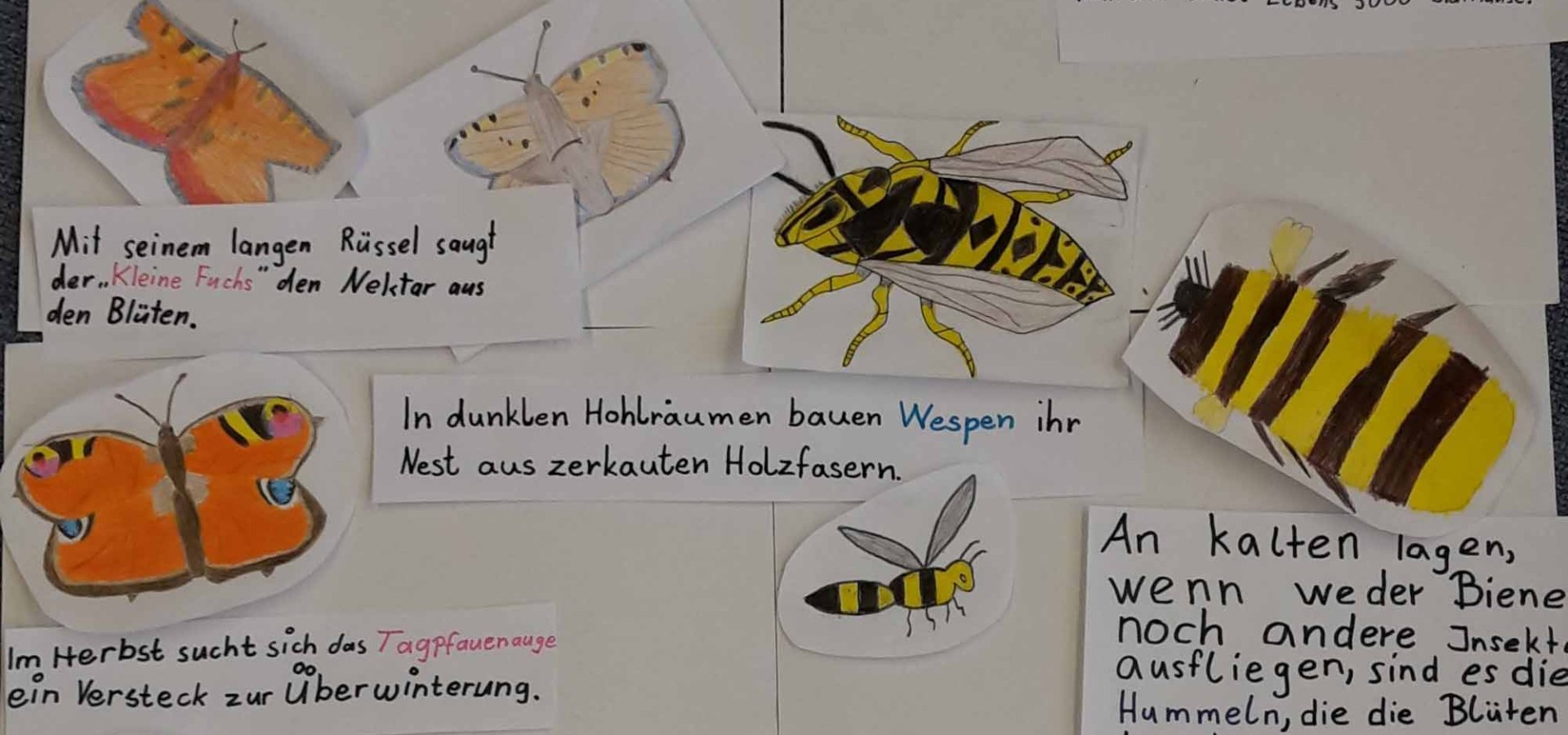 Wer wird im Insektenhotel wohnen, © GM Grassau / J. Stiegler