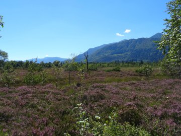 Wege in der Kendlmühlfilzen, © Tourist-Information Grassau