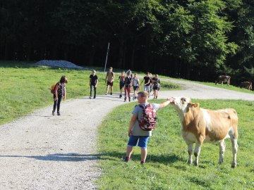 Wandertag der Klasse 5c, © GM Grassau / P. Dorsch