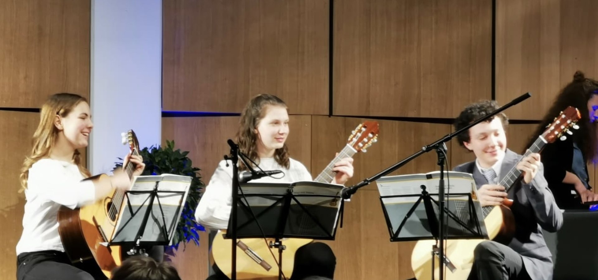 Trio Viel-Saitig