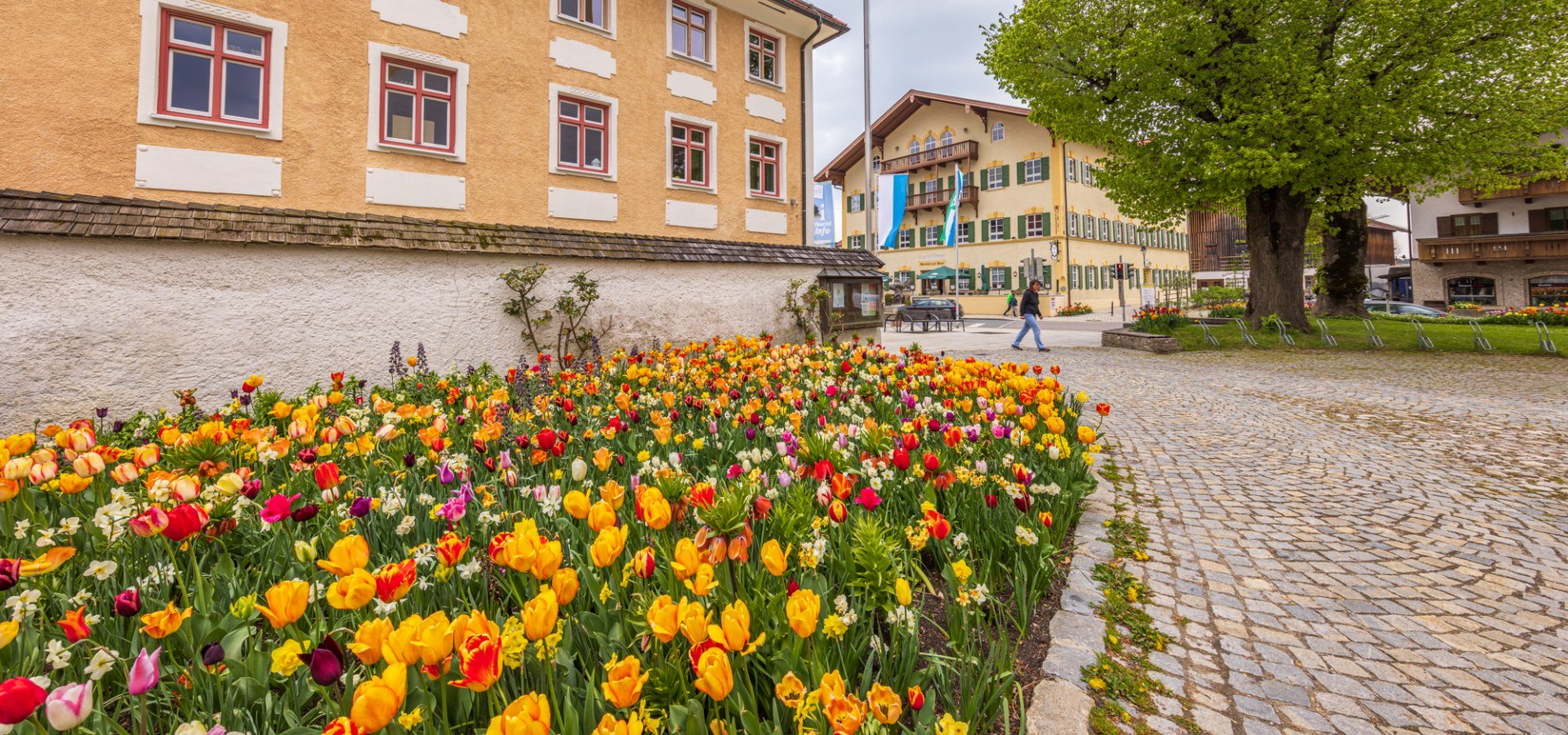 Tulpen vor der Grassauer Kirche, © Tourist-Information Grassau
