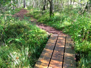 Kendlmühlfilzen, © Tourist-Information Grassau