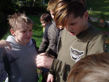 entdeckender Schüler am Wandertag, © GM Grassau / P. Dorsch