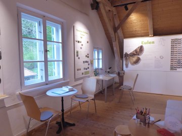 Nachtleben 5, © Museum Salz und Moor