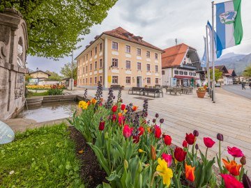 Tulpen vor der Tourist-Information am Kirchplatz in Grassau, © Tourist-Information Grassau