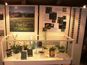 Ausstellungstafeln der Sonderausstellung 2014, © Museum Salz und Moor / Stefan Kattari