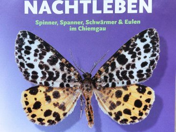 16 seitiger Folder über die Ausstellung, © Museum Salz & Moor