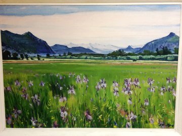 Hötzendorff: Schwertlilien 2, © Theodor von Hötzendorff / Markt Grassau