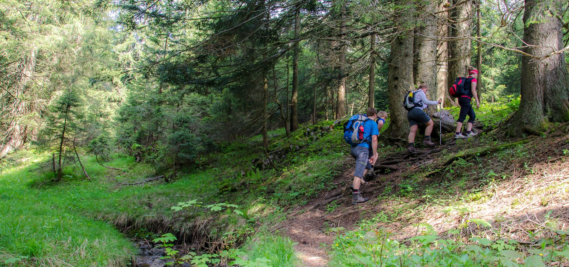 Wanderweg zum Gederer und Kampenwand, © Andreas Hofmann