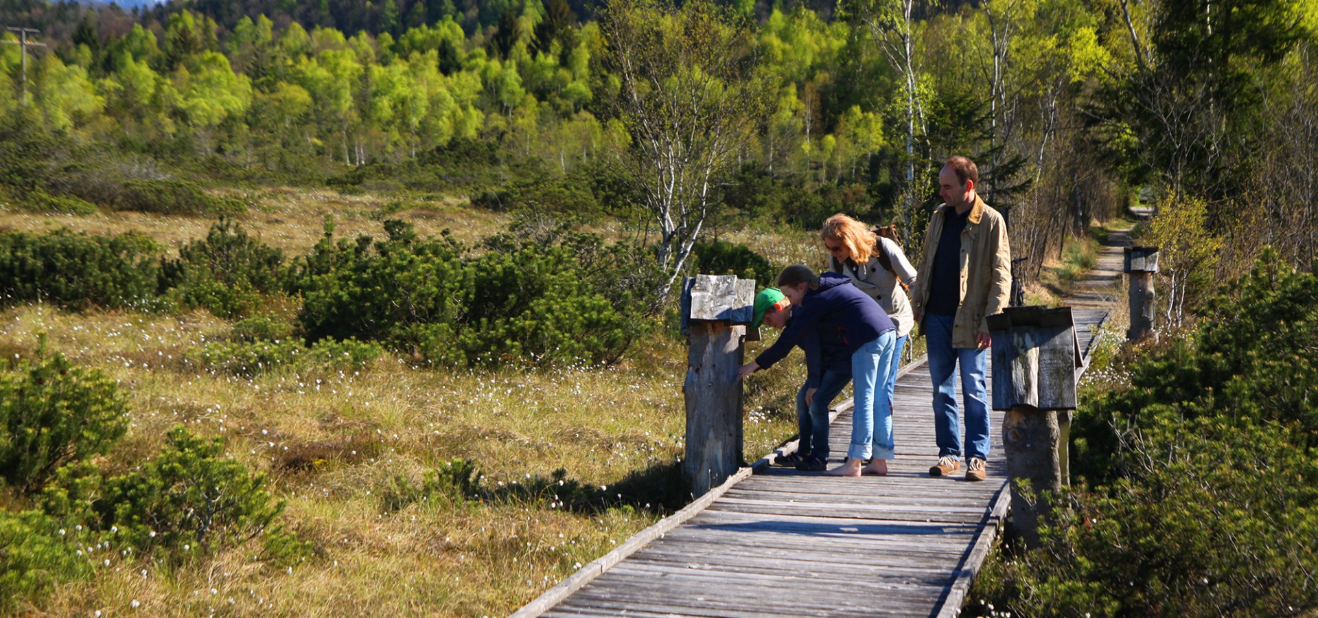 Moorerlebnisweg, © Museum Salz und Moor / Stefan Kattari