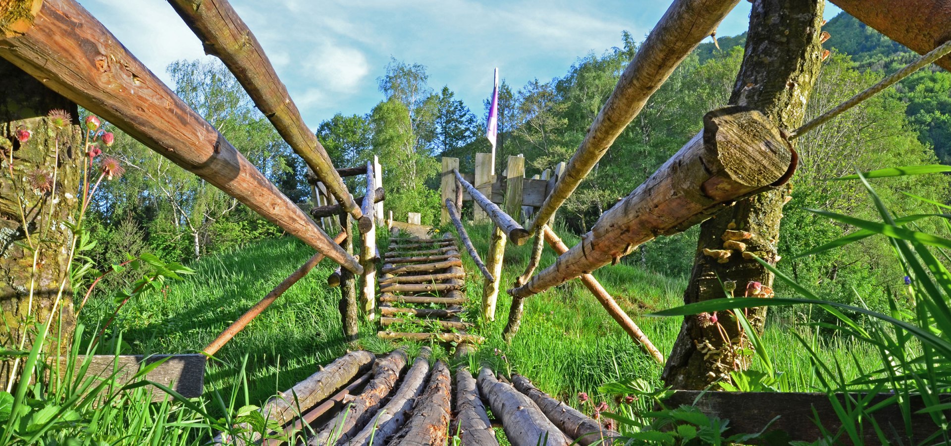 Kendlmühlfilze Moorerlebnisweg Rottau, © Andreas Hofmann