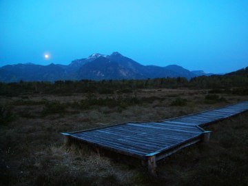 Moorerlebnisweg bei Vollmond, © Museum Salz und Moor / Stefan Kattari