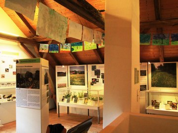 Ausstellungstafeln der Sonderausstellung 2014, © Museum Salz und Moor / Stefan Kattari