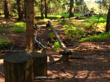 Spielplatz am Moorerlebnisweg, © Museum Salz und Moor / Stefan Kattari