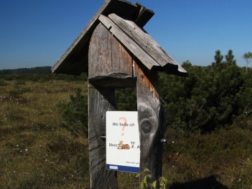 Moorerlebnisweg, © Museum Salz und Moor / Stefan Kattari