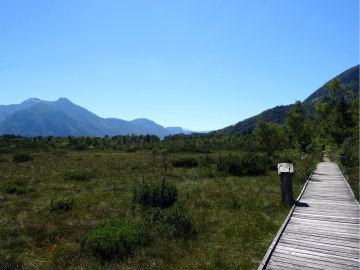 Naturschutzgebiet Kendlmühlfilzen, © Tourist-Information Grassau